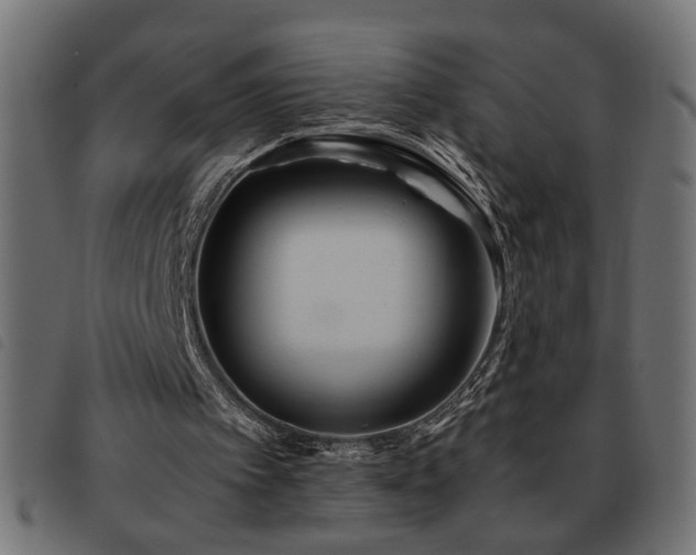 X0000093440097200710121341