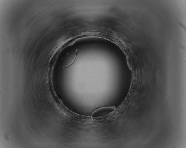 X0000093440098200710121341