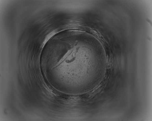 X0000093440099200710121341