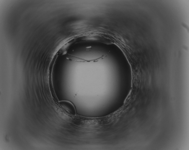 X0000093440100200710121341