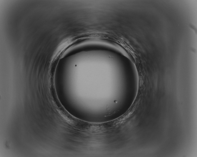 X0000093440101200710121341