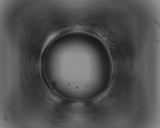 X0000093440102200710121341