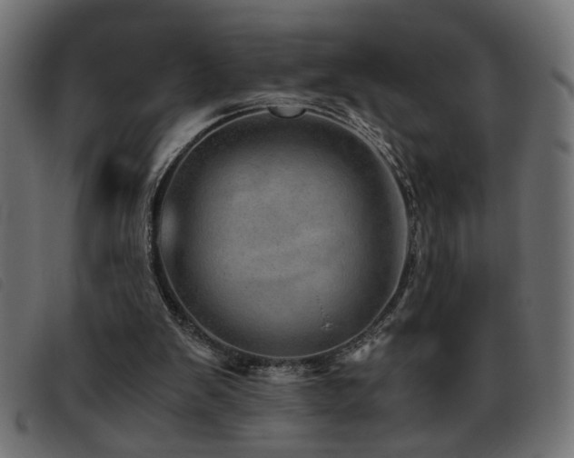 X0000093440103200710121341