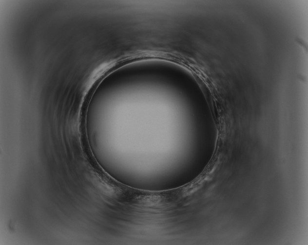 X0000093440104200710121341