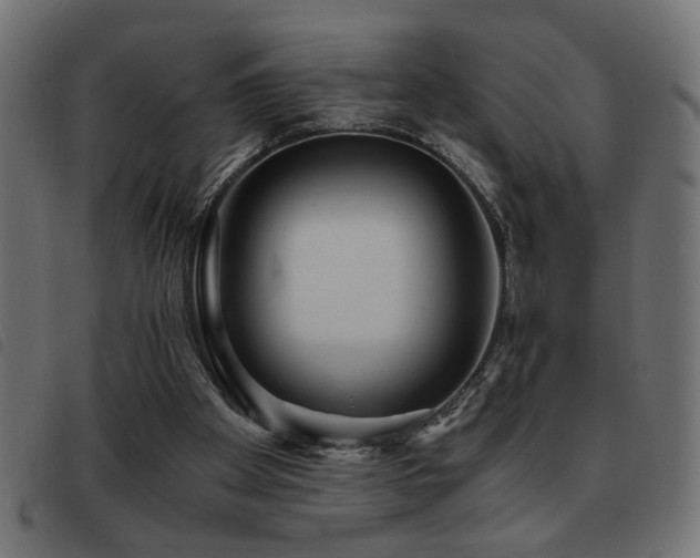 X0000093440105200710121341