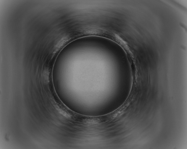 X0000093440106200710121341