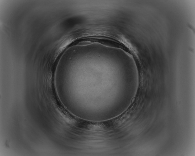 X0000093440107200710121341