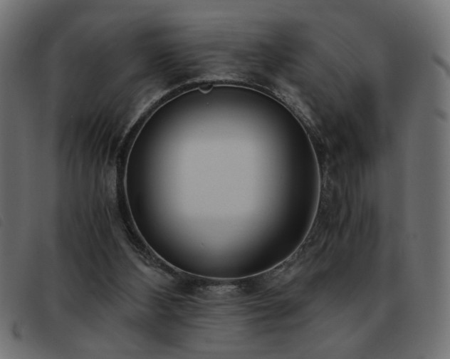 X0000093440108200710121341