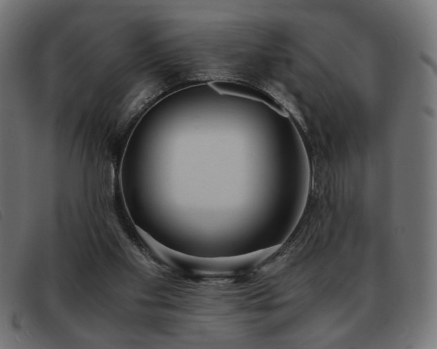 X0000093440109200710121341
