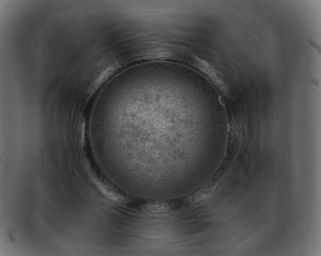 X0000093440110200710121341