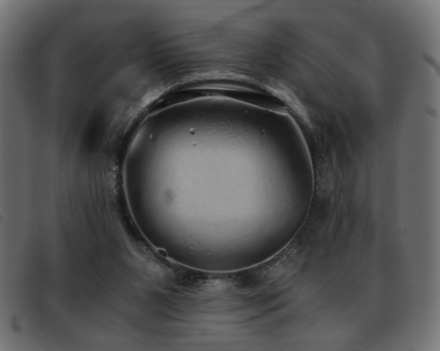 X0000093440111200710121341