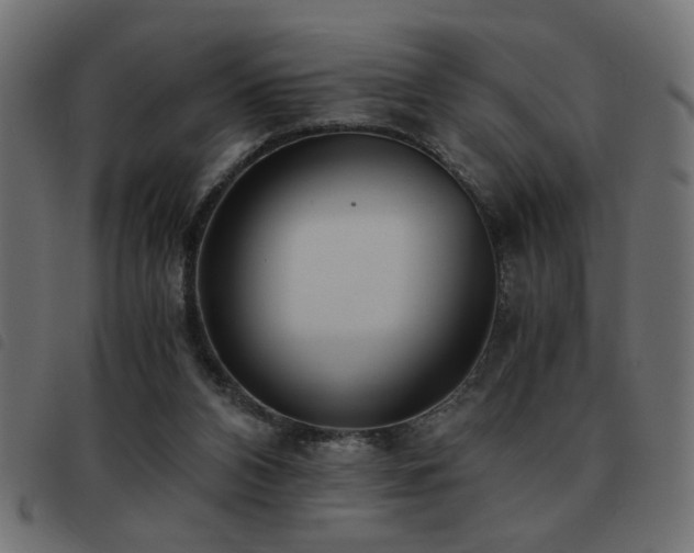 X0000093440112200710121341