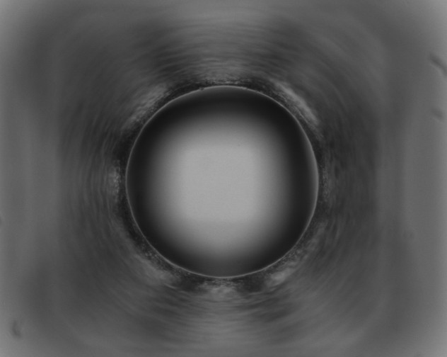 X0000093440113200710121341