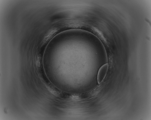 X0000093440114200710121341