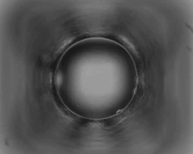 X0000093440115200710121341