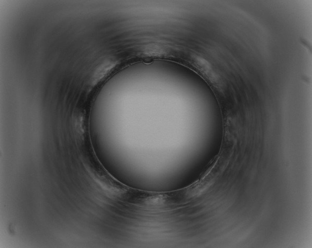 X0000093440116200710121341