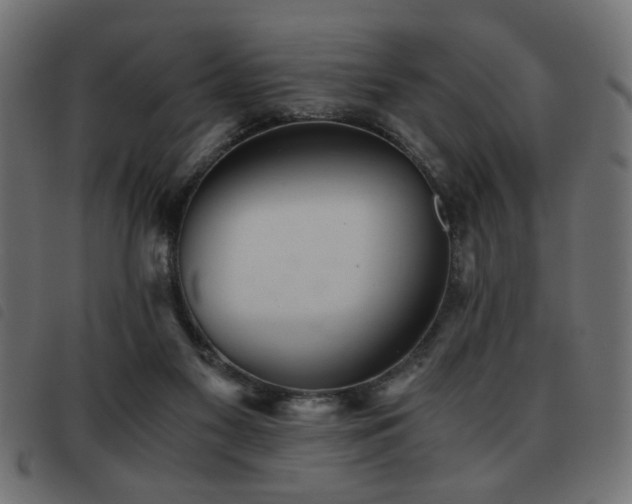 X0000093440117200710121341
