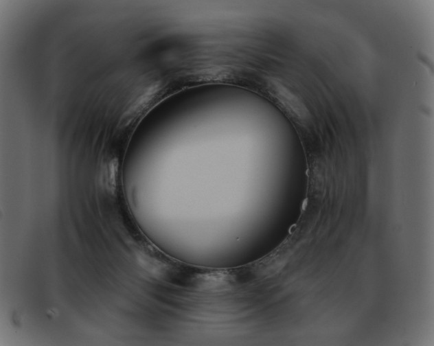 X0000093440118200710121341