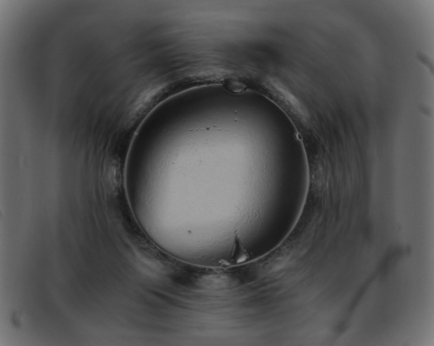X0000093440119200710121341