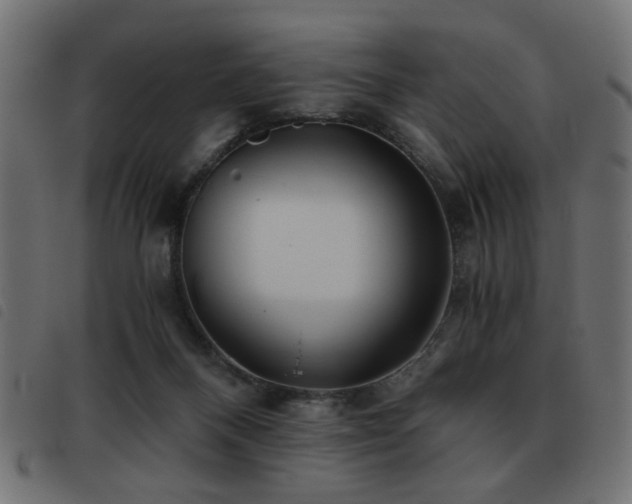 X0000093440120200710121341