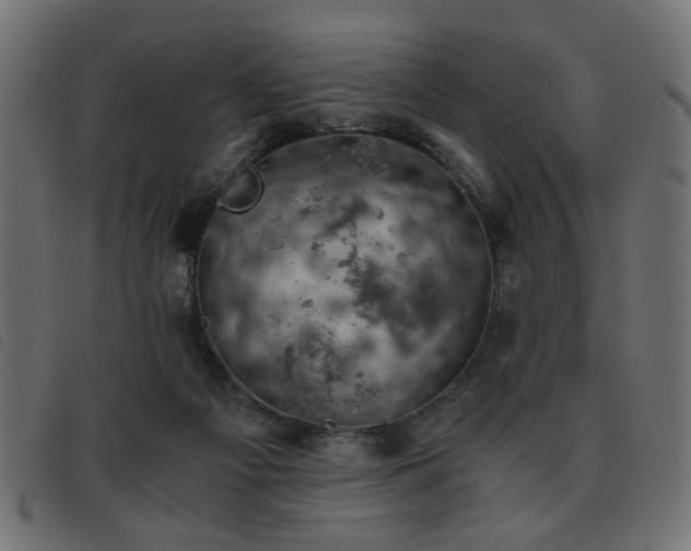 X0000093440121200710121341