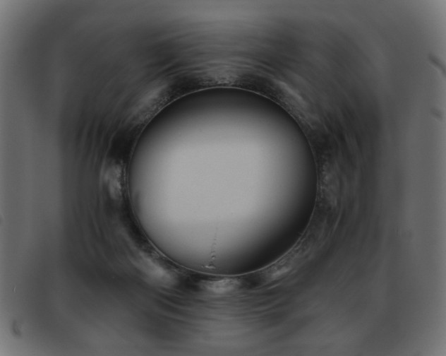 X0000093440122200710121341