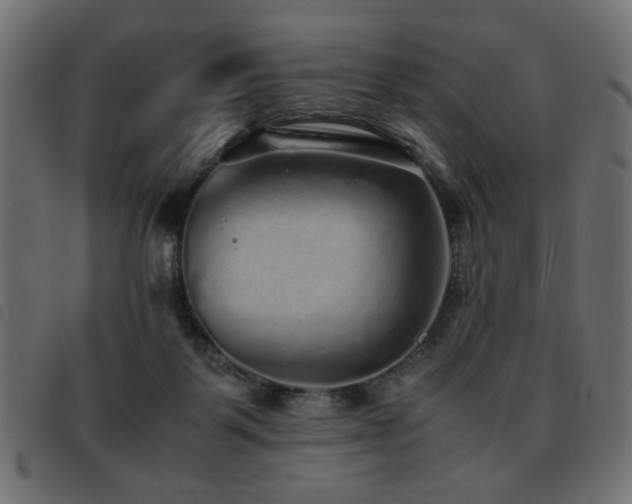 X0000093440123200710121341