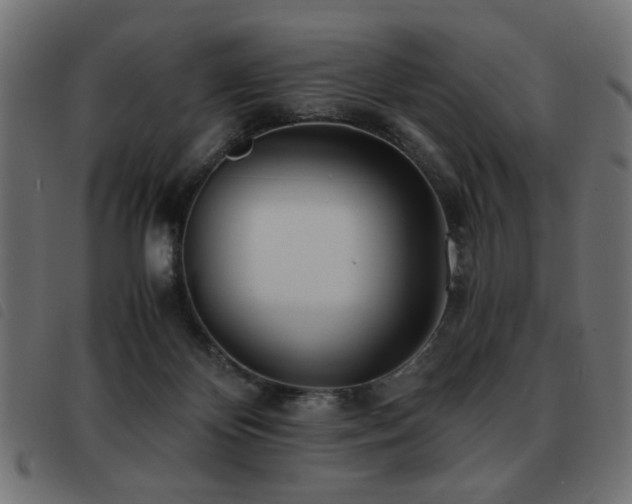 X0000093440124200710121341