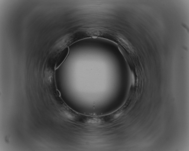 X0000093440125200710121341