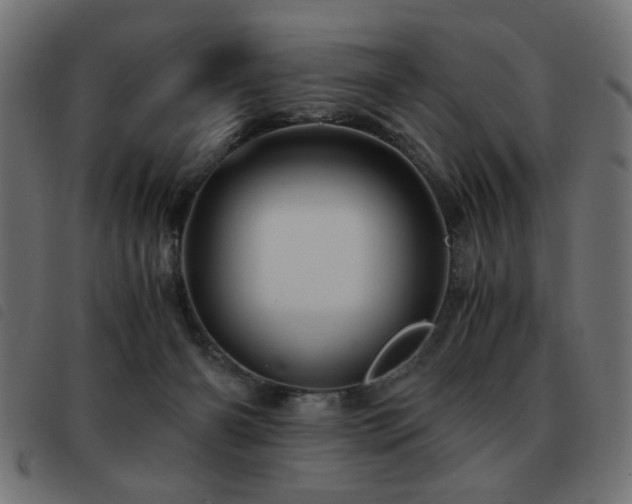 X0000093440126200710121341