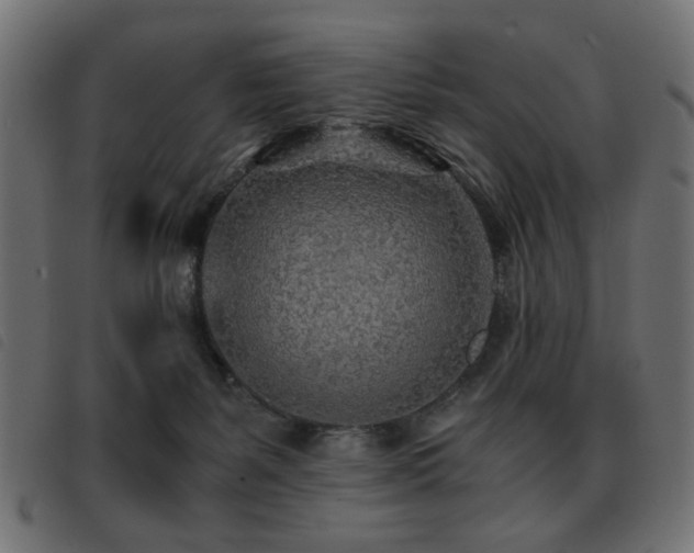 X0000093440127200710121341