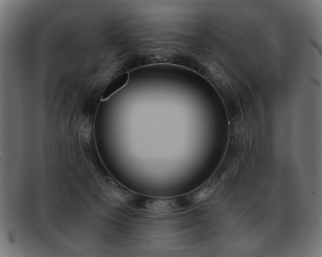 X0000093440129200710121341
