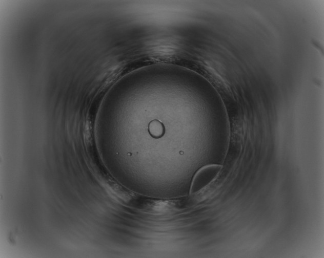 X0000093440130200710121341