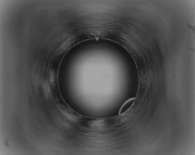 X0000093440132200710121341