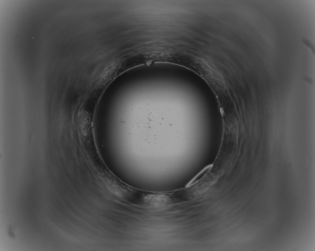X0000093440133200710121341