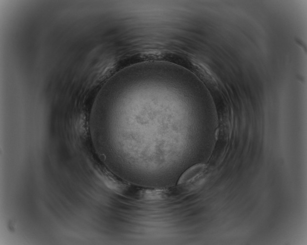 X0000093440134200710121341