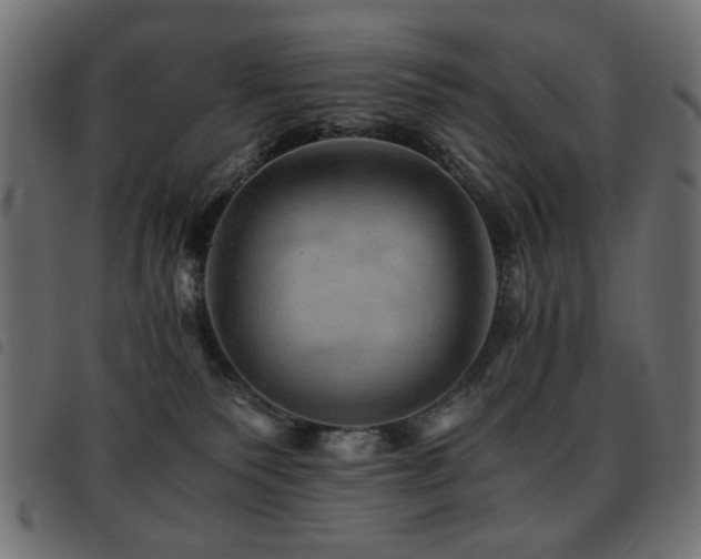 X0000093440135200710121341