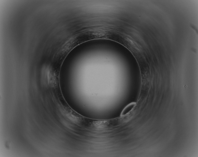 X0000093440136200710121341
