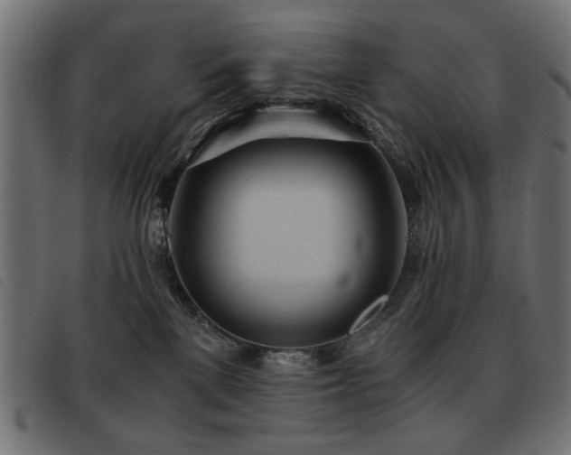 X0000093440137200710121341