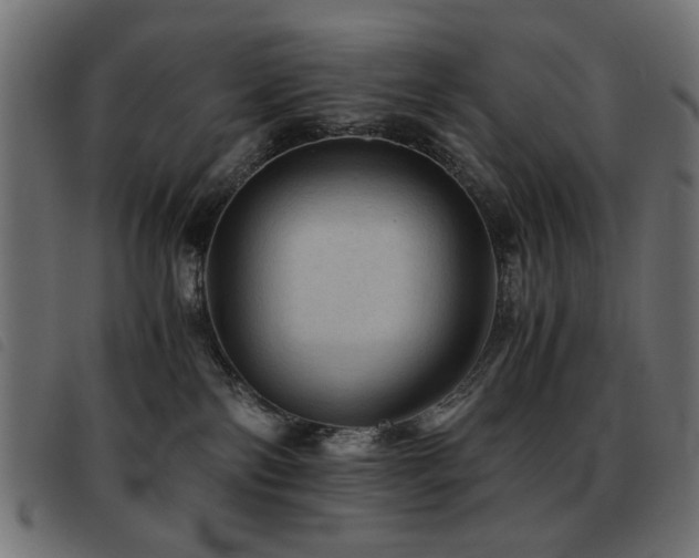 X0000093440138200710121341