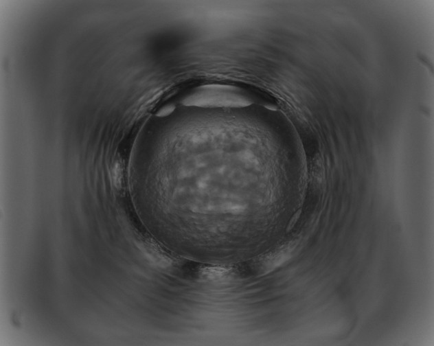 X0000093440139200710121341