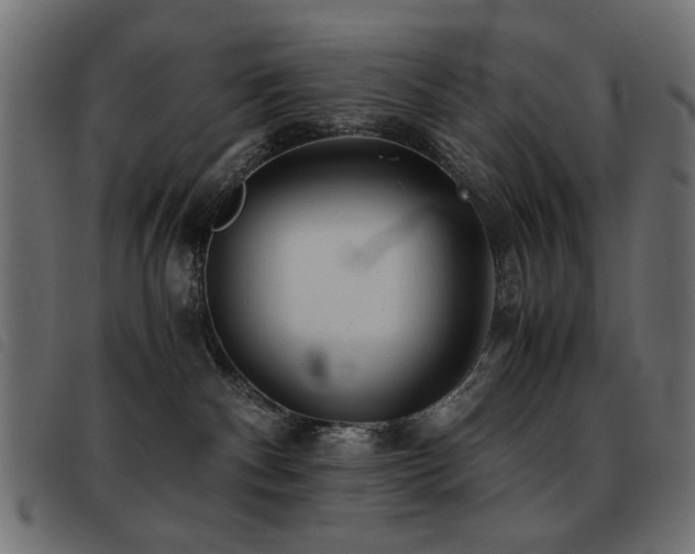 X0000093440140200710121341