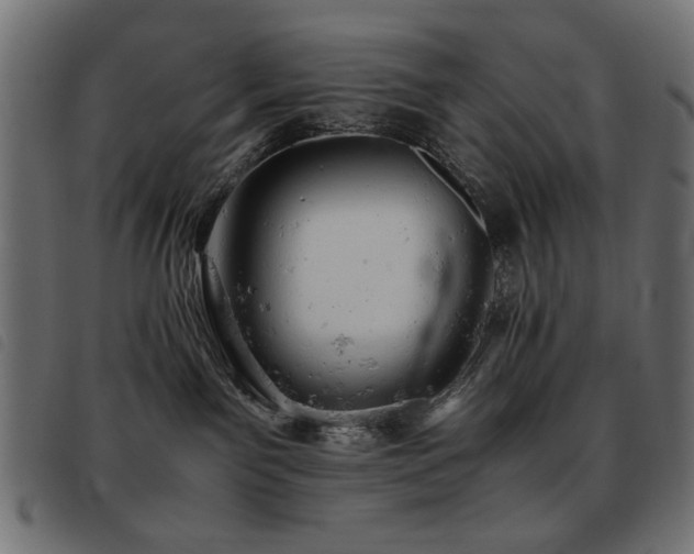 X0000093440141200710121341