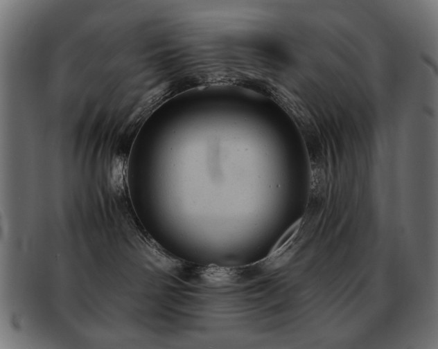 X0000093440142200710121341