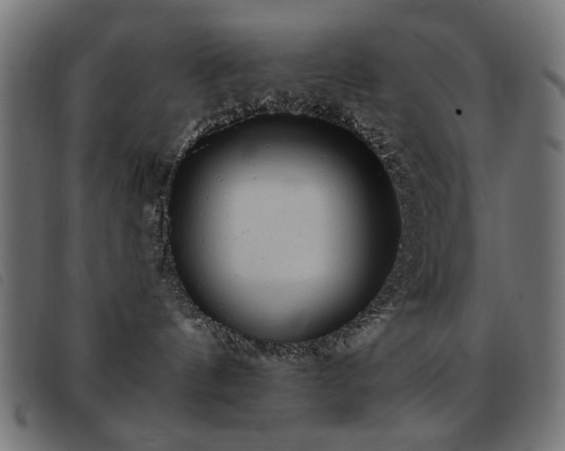 X0000093440144200710121341