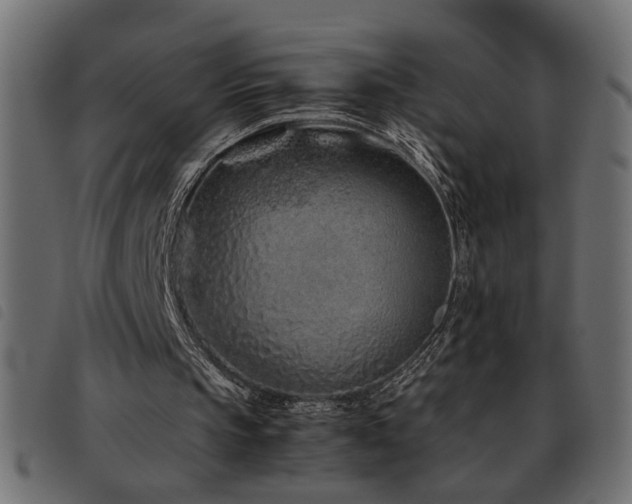 X0000093440145200710121340