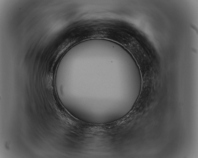 X0000093440146200710121340