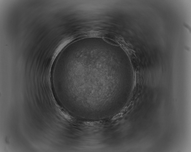 X0000093440147200710121340