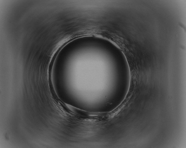 X0000093440148200710121340