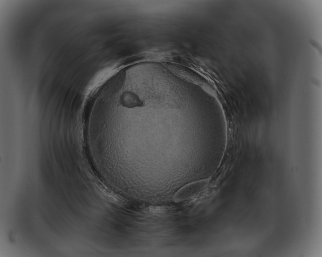 X0000093440149200710121340